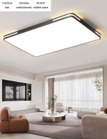 modern simple LED ceiling lamp 110x70cm