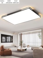 modern simple LED ceiling lamp 60x40cm