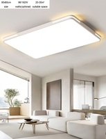 modern simple LED ceiling lamp 90x60cm
