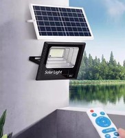 solar LED lamps